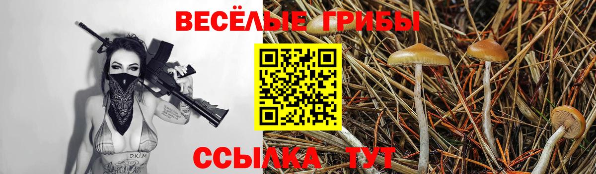 Псилоцибиновые грибы MAGIC MUSHROOMS Конаково